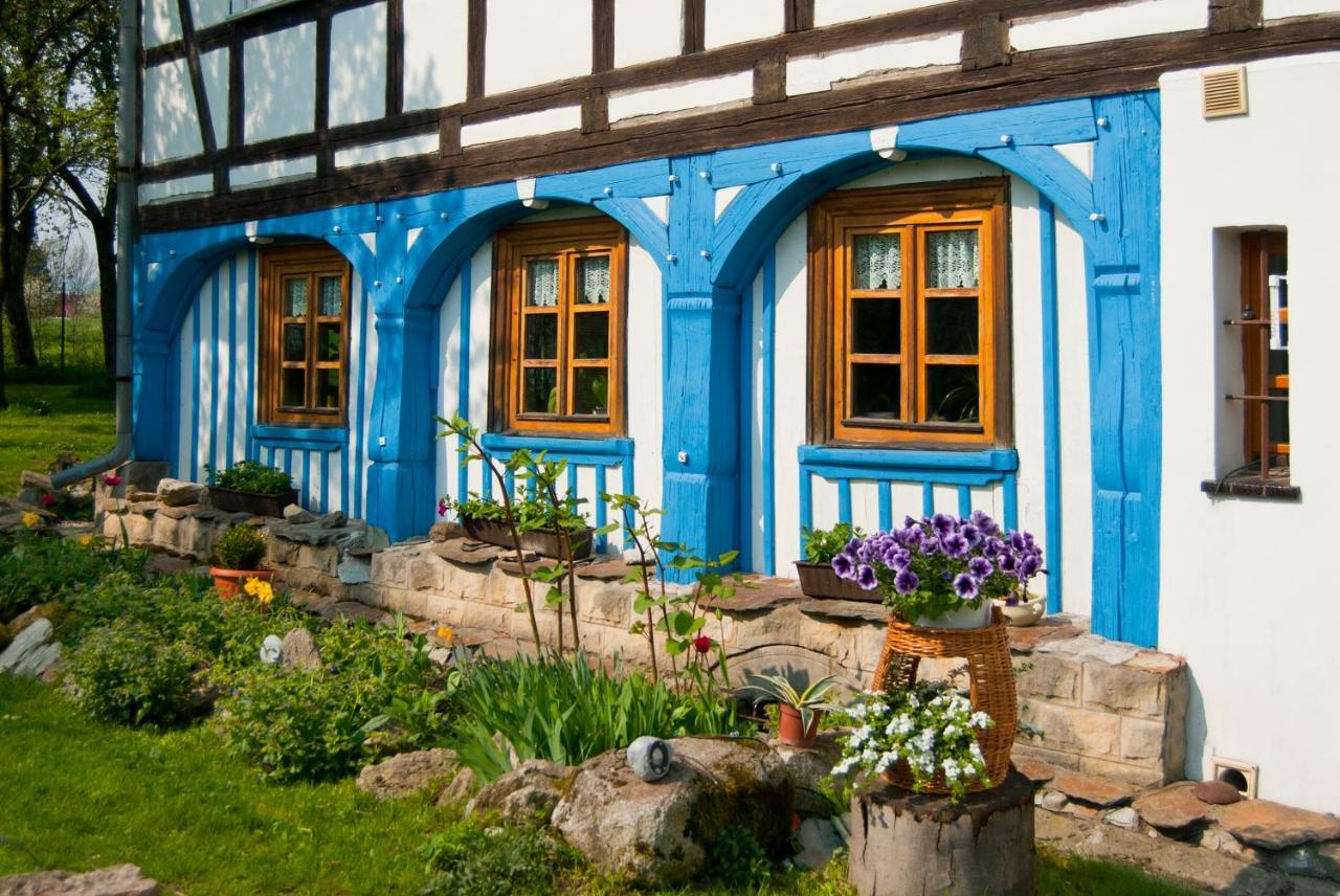 Dom Przyslupowy Educare -Agroturystyka Slow Food Свєрадув-Здруй Екстер'єр фото